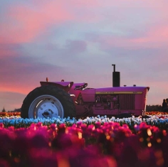 photo of ride on tractor during sunset